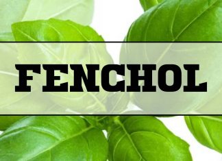 Fenchol: il composto naturale del basilico può proteggere dall’Alzheimer