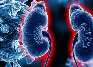 Kidney transplant patients are at risk for all kinds of infections