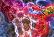Le terapie con anticorpi monoclonali durante la pandemia di COVID19 hanno aumentato la possibilità di selezione per varianti resistenti