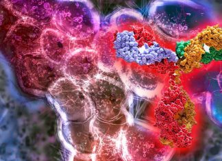 Monoclonal antibody therapies during the COVID19 pandemic have increased the possibility of selection for resistant variants