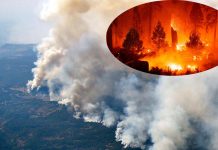 Prolonged exposure to smoke from bushfire creates severe physical and mental consequences