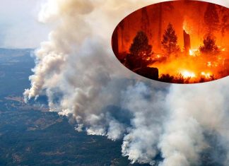 Prolonged exposure to smoke from bushfire creates severe physical and mental consequences