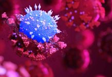 A new SARS-CoV-2 Lineage called B.1.620 has emerged from most probably Cameroon carrying a large number of unique mutations