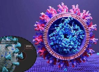 Protein LRRC15 Interaction With SARS-CoV-2 Spike Protein Could Be Modulating Infection