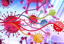 SARS-CoV-2: la nuova variante A.30 è evasiva agli anticorpi generati dai vaccini attuali