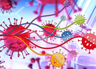 SARS-CoV-2: la nuova variante A.30 è evasiva agli anticorpi generati dai vaccini attuali