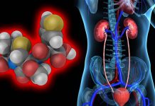 Temocillin a forgotten antibiotic may be useful in treating severe urinary tract infections