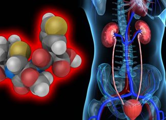 Temocillin a forgotten antibiotic may be useful in treating severe urinary tract infections