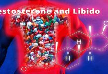 Testosterone levels affect men’s and women’s intimate relationships and sexual behavior