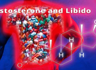 Testosterone levels affect men’s and women’s intimate relationships and sexual behavior