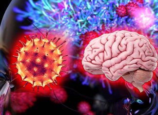 Cognitive decline and brain fog can persist up to 8 months after contracting COVID-19