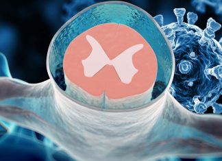 Neurologists found replicable SARS-CoV-2 RNA in CSF of asymptomatic patients after 114 days