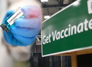 COVID-19: New Research Highlights N Antibody Levels Appear to Be Lower in Fully Vaccinated Individuals Who Acquire Infection