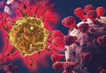 The importance of autophagy in the fight against SARS-CoV-2 infections