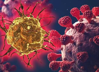 The importance of autophagy in the fight against SARS-CoV-2 infections
