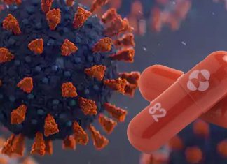 La pillola sperimentale COVID-19 di Merck ha dimezzato i ricoveri e i decessi