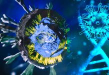 Mutations at a hotspot W152 of the N-Terminal Domain (NTD) of the SARS-CoV-2 virus is driving immune evasion