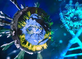 Mutations at a hotspot W152 of the N-Terminal Domain (NTD) of the SARS-CoV-2 virus is driving immune evasion