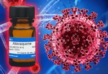 Il farmaco antimicrobico Atovaquone ha un potenziale antivirale contro il coronavirus SARS-CoV-2 e i COV emergenti