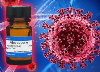 Il farmaco antimicrobico Atovaquone ha un potenziale antivirale contro il coronavirus SARS-CoV-2 e i COV emergenti