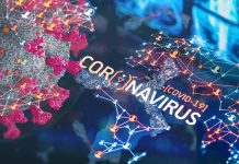 I farmaci CA-074 e Camostat bloccano l’infezione da SARS-CoV-2