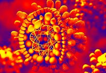 Un’infezione influisce anche sull’immunizzazione delle generazioni successive?