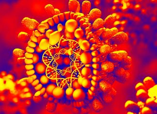Un’infezione influisce anche sull’immunizzazione delle generazioni successive?