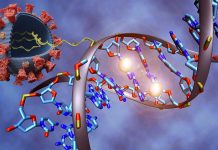 Patogenesi del COVID-19 e meccanismi epigenetici sottostanti