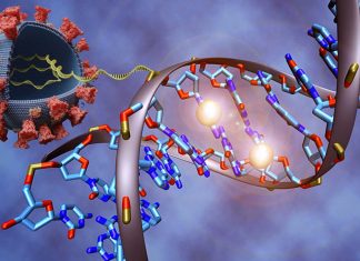 Patogenesi del COVID-19 e meccanismi epigenetici sottostanti