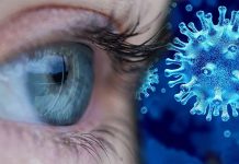 SARS-CoV-2 può infettare e replicarsi nelle cellule retiniche