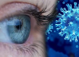 SARS-CoV-2 può infettare e replicarsi nelle cellule retiniche