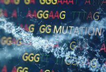 Junk DNA may actually be key to preventing tumors