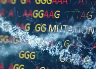 Junk DNA may actually be key to preventing tumors