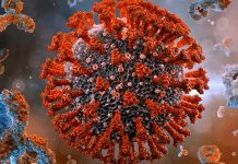 Why are some people resistant to SARS-CoV-2 infections?