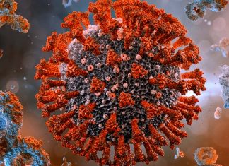 Why are some people resistant to SARS-CoV-2 infections?