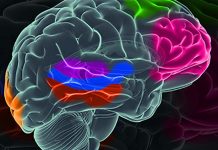 Research on sensory adaptation has brought to light a previously overlooked organizing principle of physiology