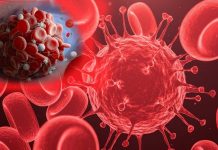 SAR-CoV-2: ricercatori israeliani hanno identificato 3 proteine chiave che possono danneggiare i vasi sanguigni dell’ospite umano