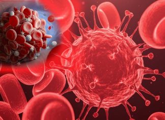SAR-CoV-2: ricercatori israeliani hanno identificato 3 proteine chiave che possono danneggiare i vasi sanguigni dell’ospite umano