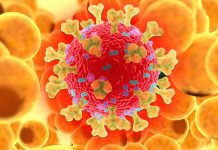 Involvement of Adipose Tissue With Coronavirus SARS-CoV-2 Infection via GRP78