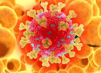 Involvement of Adipose Tissue With Coronavirus SARS-CoV-2 Infection via GRP78