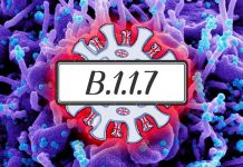 The new immune-evasive Alpha variant B.1.1.7 sub-lineages is 3-fold less sensitive to neutralization by COVID-19 vaccine-induced antibodies