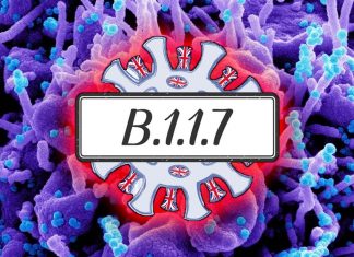 The new immune-evasive Alpha variant B.1.1.7 sub-lineages is 3-fold less sensitive to neutralization by COVID-19 vaccine-induced antibodies