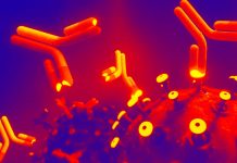 Anti-idiotype Antibodies Produced In SARS-CoV-2 Infection And Vaccination Causes Variety Of Health Issues