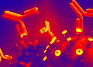Anti-idiotype Antibodies Produced In SARS-CoV-2 Infection And Vaccination Causes Variety Of Health Issues