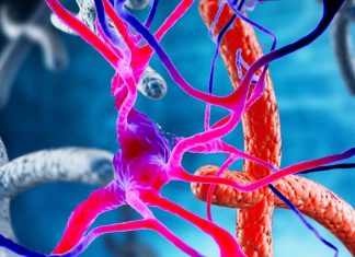 Recovered Patients Of Severe COVID-19 Undergo Premature Aging