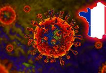 FRANCE : Covid-19 variant B.1.640 has some unprecedented mutations that allows the virus to cling to the human cell and start the infection process