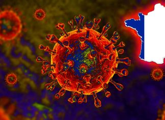 FRANCE : Covid-19 variant B.1.640 has some unprecedented mutations that allows the virus to cling to the human cell and start the infection process