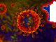 FRANCE : Covid-19 variant B.1.640 has some unprecedented mutations that allows the virus to cling to the human cell and start the infection process