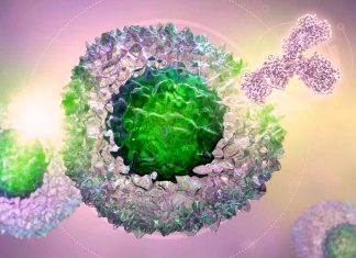 Immune checkpoint inhibitors (ICIs) can cause serious cardiotoxicities including myocarditis