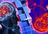 Memory errors may indicate a way in which the human cognitive system is optimally running